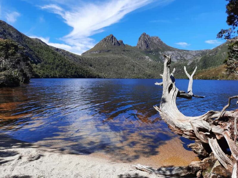 From Launceston: Sheffield Murals & Cradle Mountain Day Tour - The Artistic Charm of Sheffield