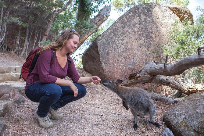 From Launceston: Wineglass Bay Explorer - Active Day Trip - Frequently Asked Questions