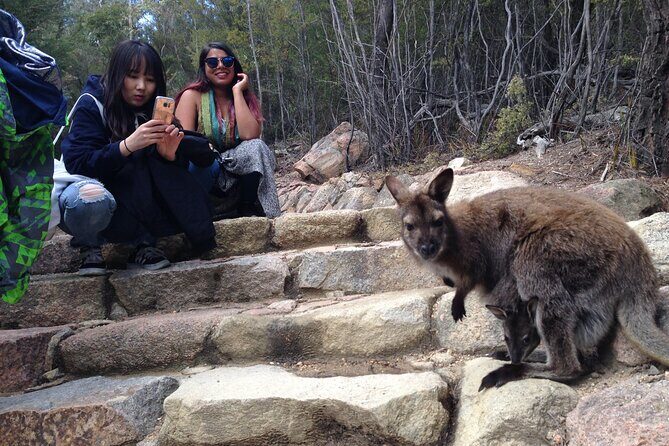 From Launceston: Wineglass Bay Explorer - Active Day Trip - In The Sum Up