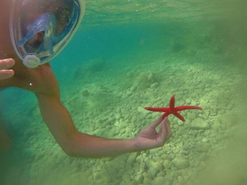 from-lefkada-half-day-kayak-tour-to-meganisi-island