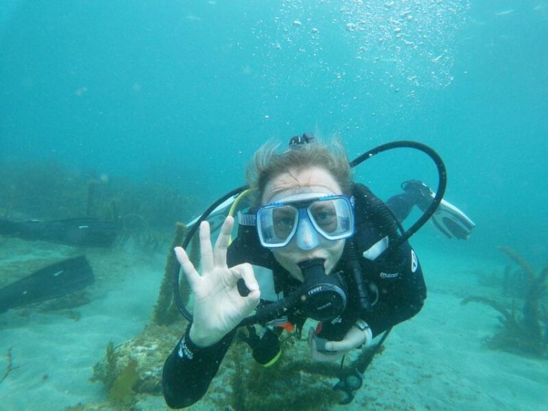From Leigh: Goat Island Try Scuba Diving Experience - The Experience: What to Expect on Your Scuba Adventure