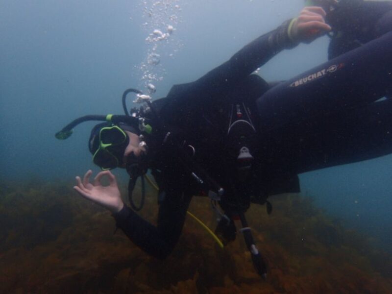 From Leigh: Goat Island Try Scuba Diving Experience - Practical Details and Tips