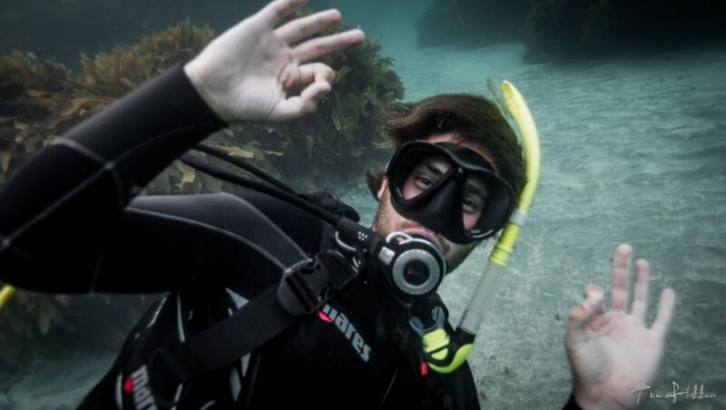 From Leigh: Goat Island Try Scuba Diving Experience - Who Will Love This?