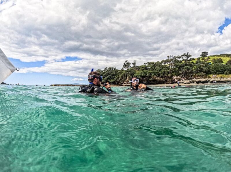 From Leigh: Goat Island Try Scuba Diving Experience - Frequently Asked Questions