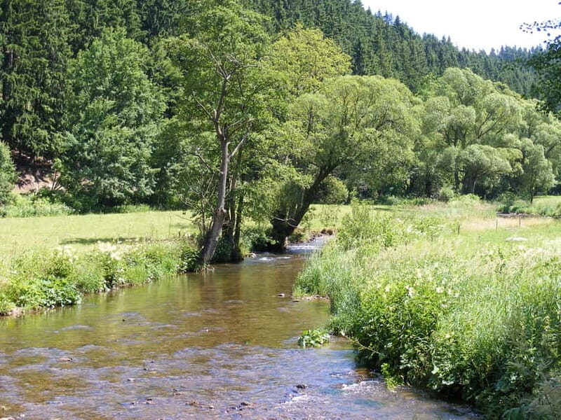 From Leipzig: Day-Trip to the Ore Mountains - The Sum Up