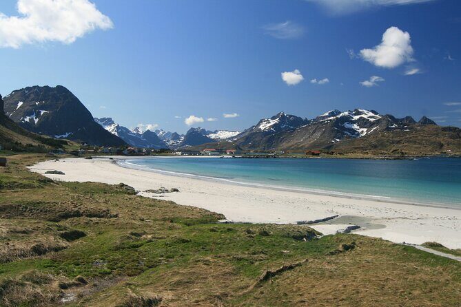 From Leknes port: Special Summer Guided Tour of Lofoten - Key Points