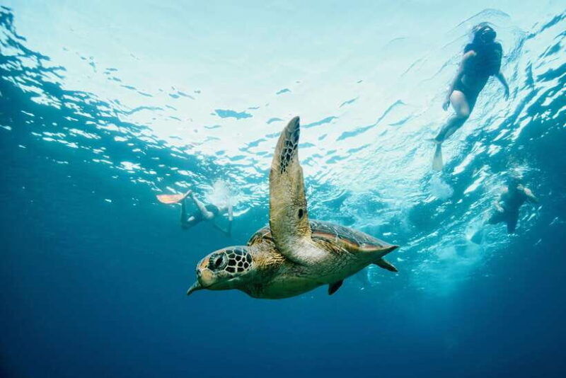 from-lembongan-full-day-private-boat-snorkeling-nusa-penida