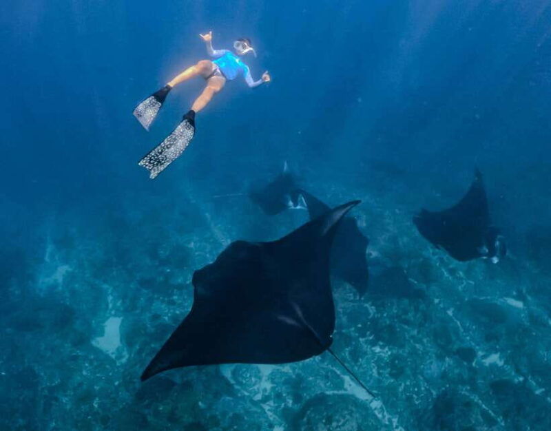 from-lembongan-full-day-private-boat-snorkeling-nusa-penida