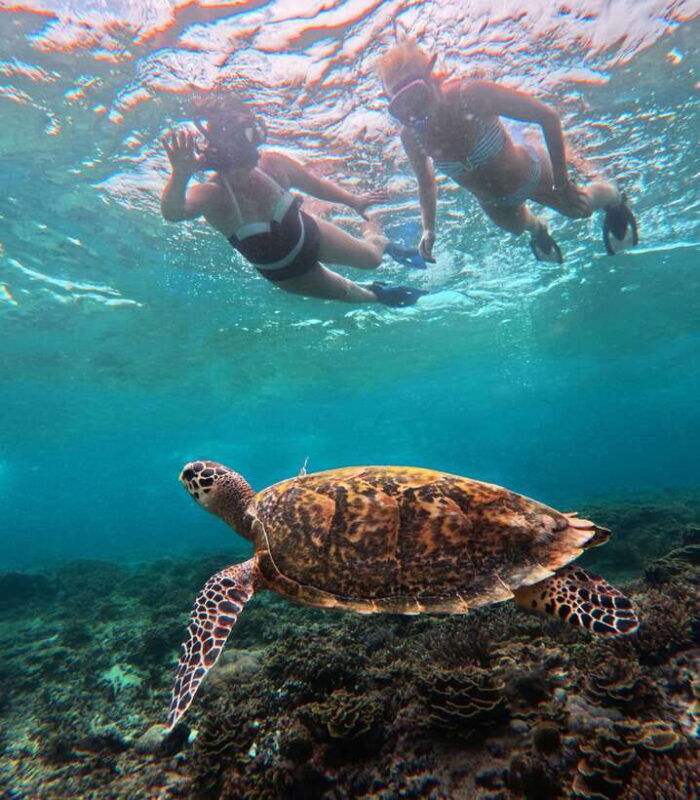 from-lembongan-full-day-private-boat-snorkeling-nusa-penida