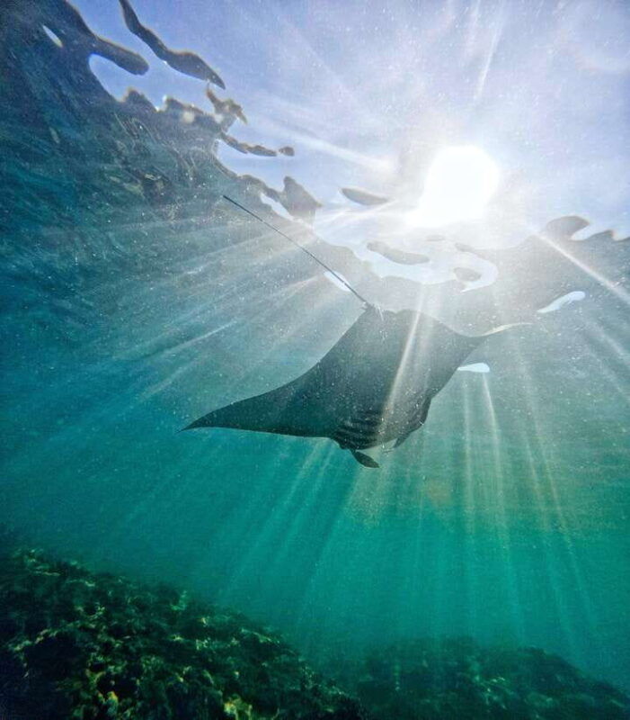 from-lembongan-full-day-private-boat-snorkeling-nusa-penida
