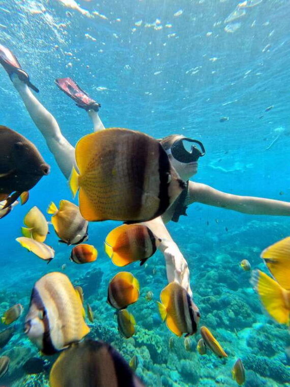 from-lembongan-full-day-private-boat-snorkeling-nusa-penida