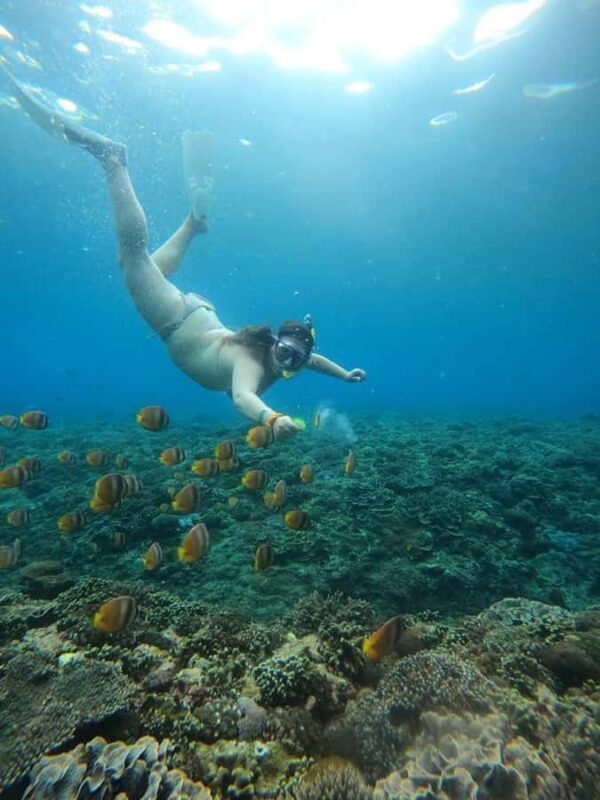 From Lembongan: Nusa Penida Private Snorkeling Tour - Authentic Insights Based on Reviews