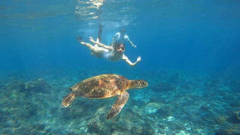 From Lembongan: Nusa Penida Private Snorkeling Tour - FAQs
