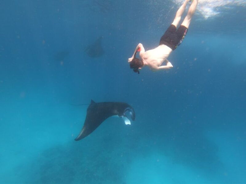 from-lembongan-nusa-penida-snorkeling-day-trip