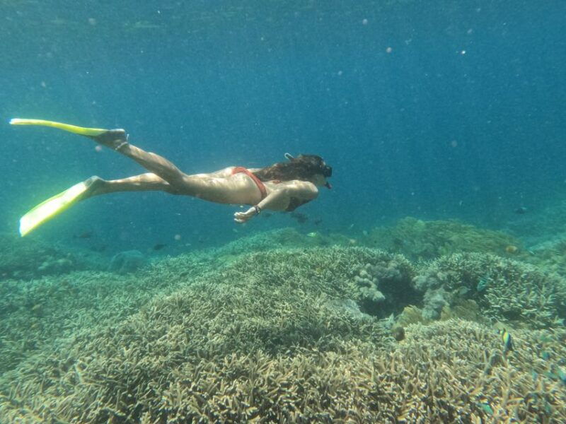 from-lembongan-nusa-penida-snorkeling-day-trip
