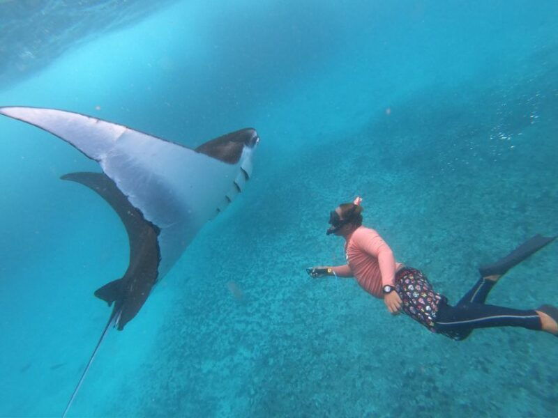from-lembongan-nusa-penida-snorkeling-day-trip