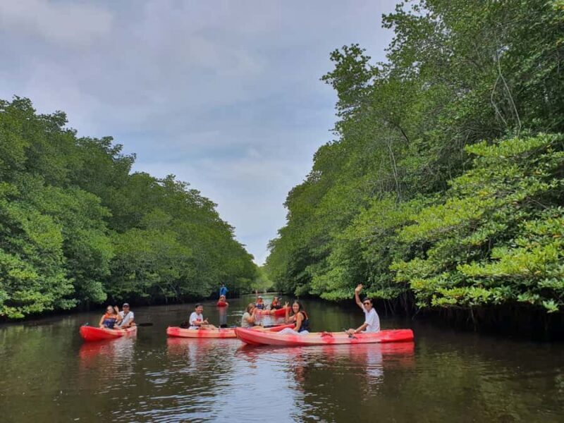 From Lembongan/Penida: Manta Point Private Snorkeling Tour - Key Points