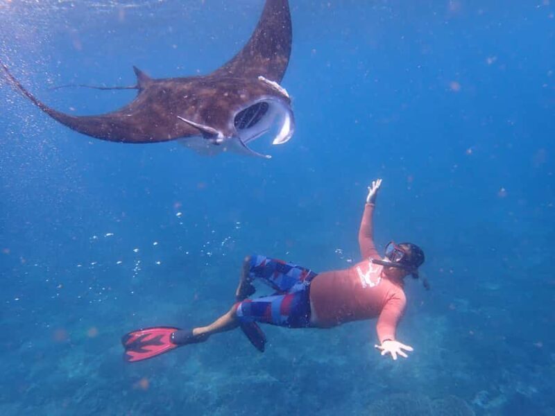 From Lembongan/Penida: Manta Point Private Snorkeling Tour - Who Should Book This Tour?
