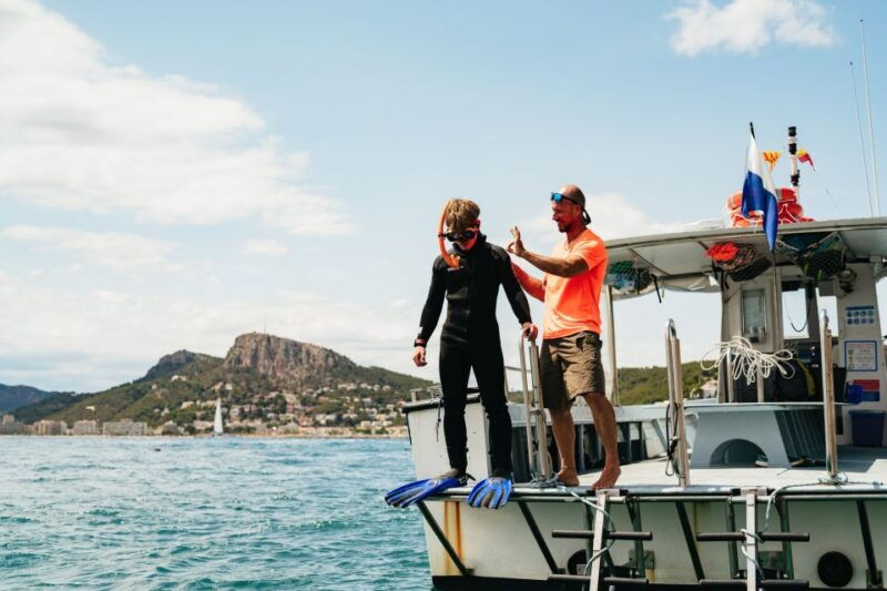 from-lestartit-snorkeling-trip-to-the-medes-islands