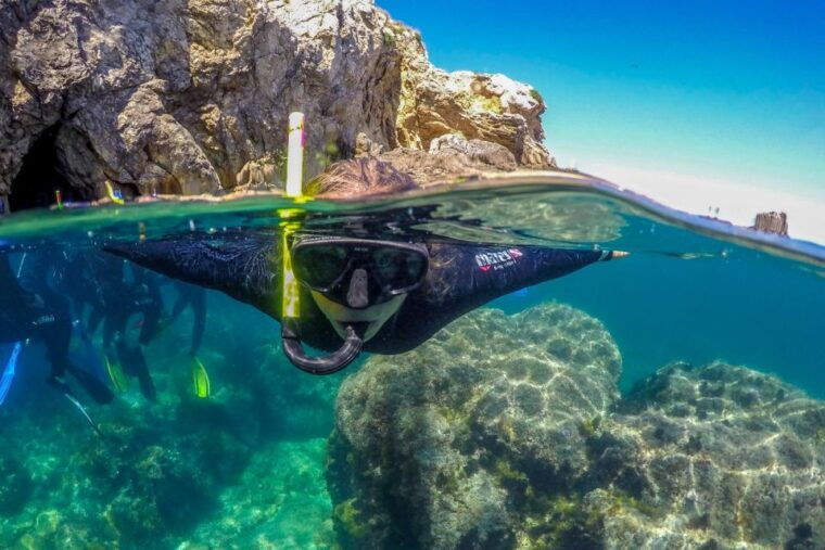 from-lestartit-snorkeling-trip-to-the-medes-islands