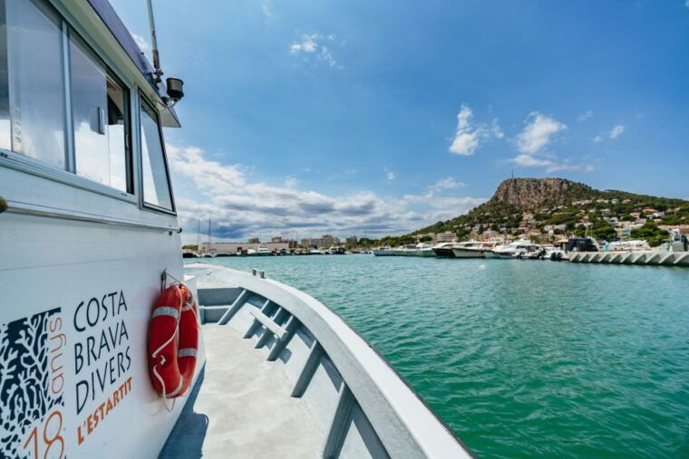 from-lestartit-snorkeling-trip-to-the-medes-islands