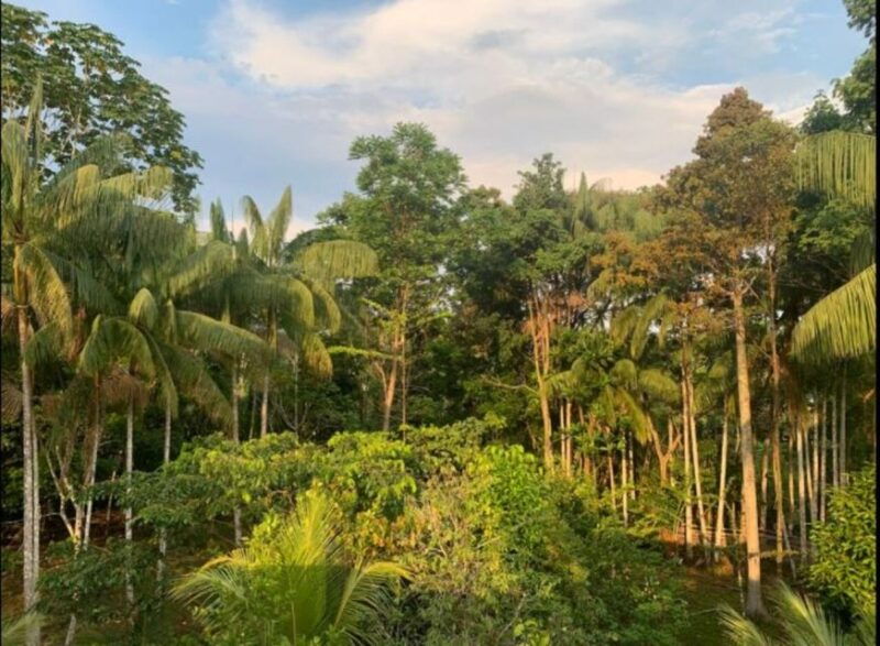 from-leticia-wild-amazonas-adventure-4-day-tour