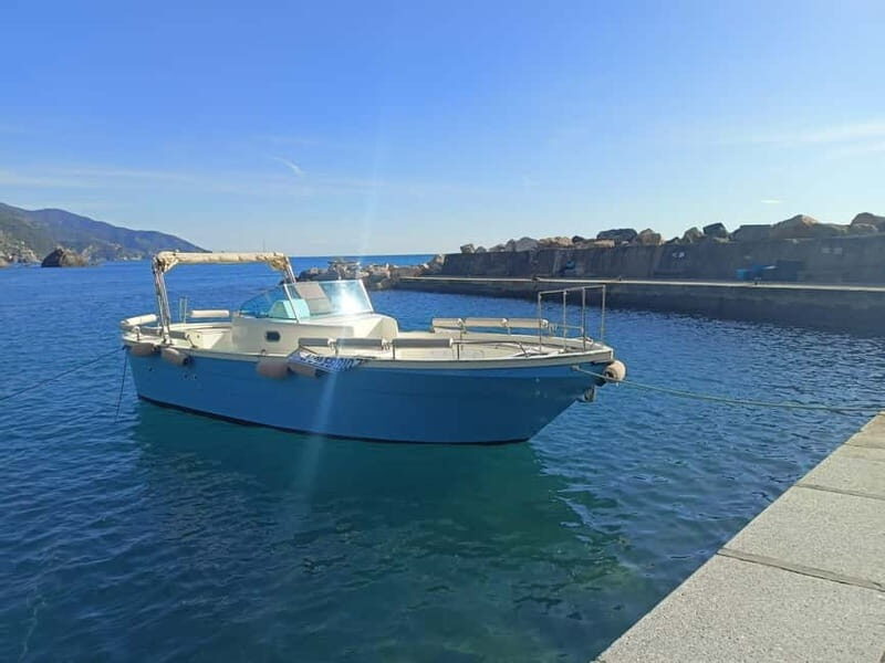 From Levanto and Monterosso: Guided Cinque Terre Boat Cruise - A Closer Look at the Tour Experience