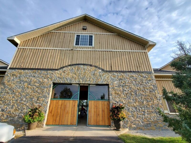 from-lexington-kentucky-horse-farms-tour
