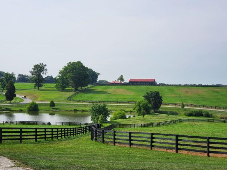 from-lexington-kentucky-horse-farms-tour