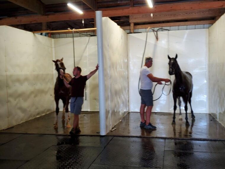 from-lexington-kentucky-horse-farms-tour
