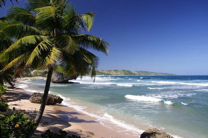 from-liberia-airport-to-tamarindo-beach-shuttle