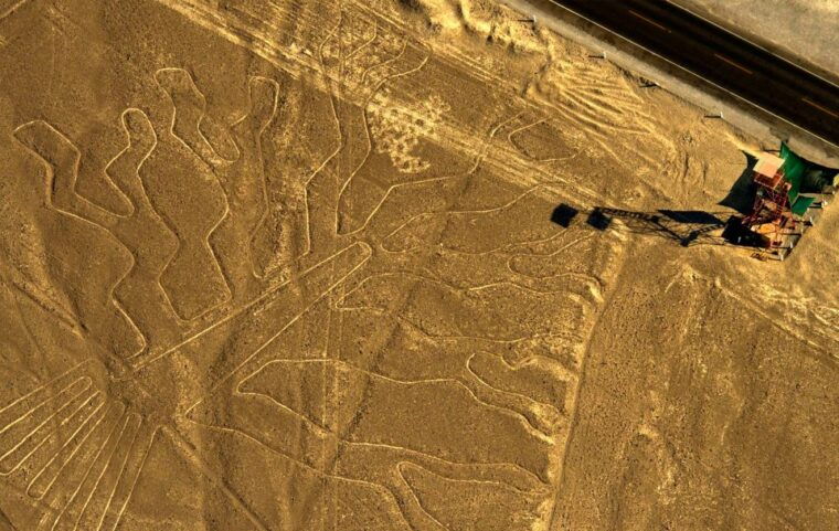 from-lima-2-day-nazca-lines-flight-paracas-and-huacachina