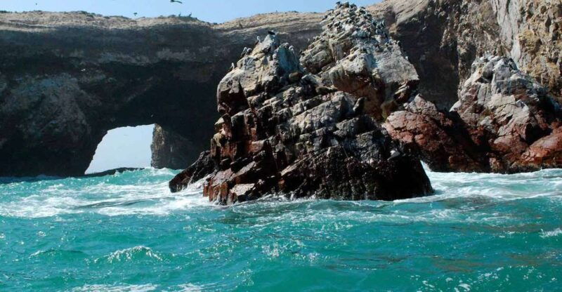 from-lima-ballestas-islands-and-huacachina-tour