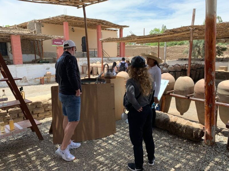 from-lima-ballestas-islands-huacachina-and-vineyard-tour
