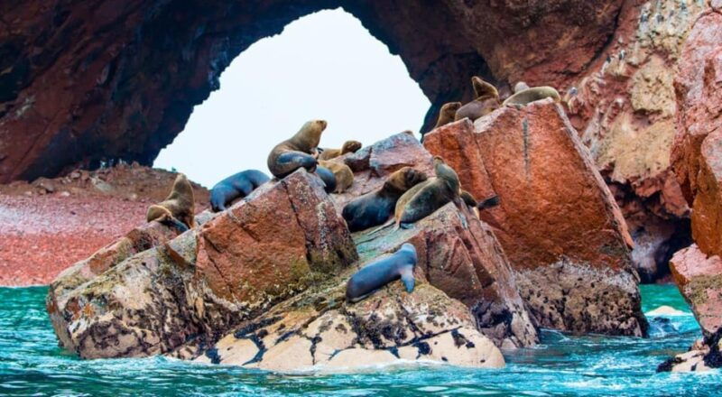 from-lima-ballestas-islands-huacachina-ica-1-day-tour