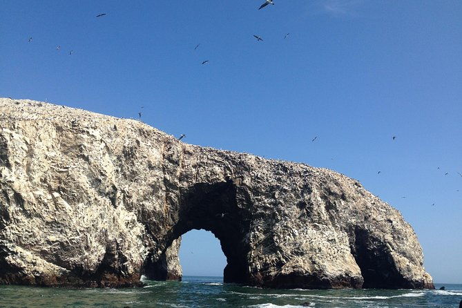 from-lima-ballestas-nazca-lines-huacachina-oasis