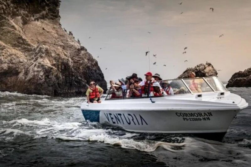 from-lima-day-trip-to-paracas-ica-oasis-huacachina