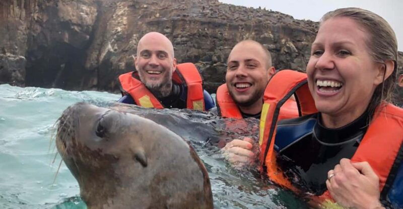 from-lima-excursion-palomino-islands-callao-bay-half-day
