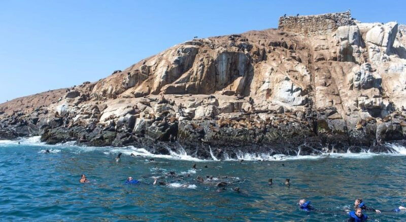 from-lima-excursion-palomino-islands-callao-bay-half-day