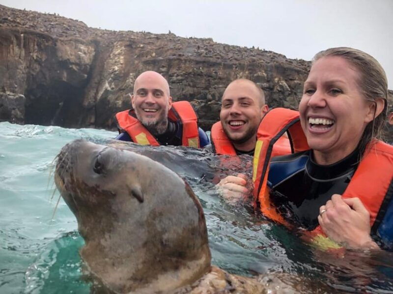 from-lima-excursion-palomino-islands-callao-bay-half-day