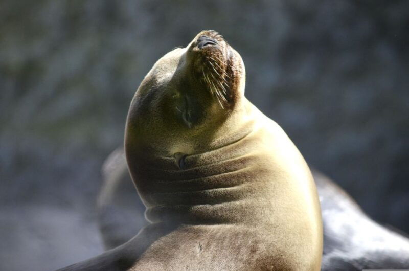 from-lima-full-day-to-paracas-and-huacachina-desert-oasis