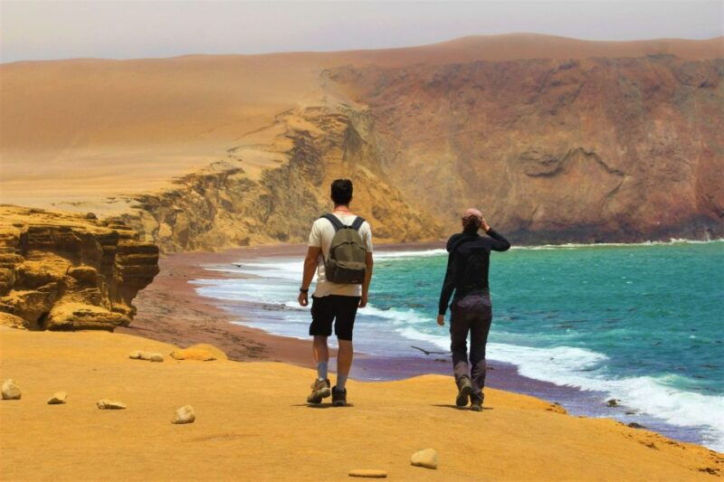 from-lima-full-day-tour-paracas-ica-and-huacachina