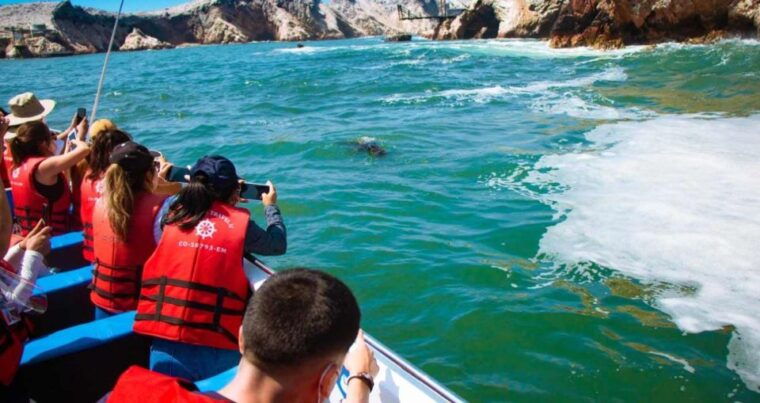 from-lima-full-day-tour-paracas-ica-and-huacachina