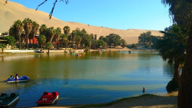 from-lima-huacachina-oasis-tour-winery-desert-sunset