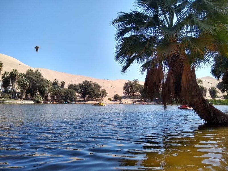 from-lima-huacachina-oasis-tour-winery-desert-sunset