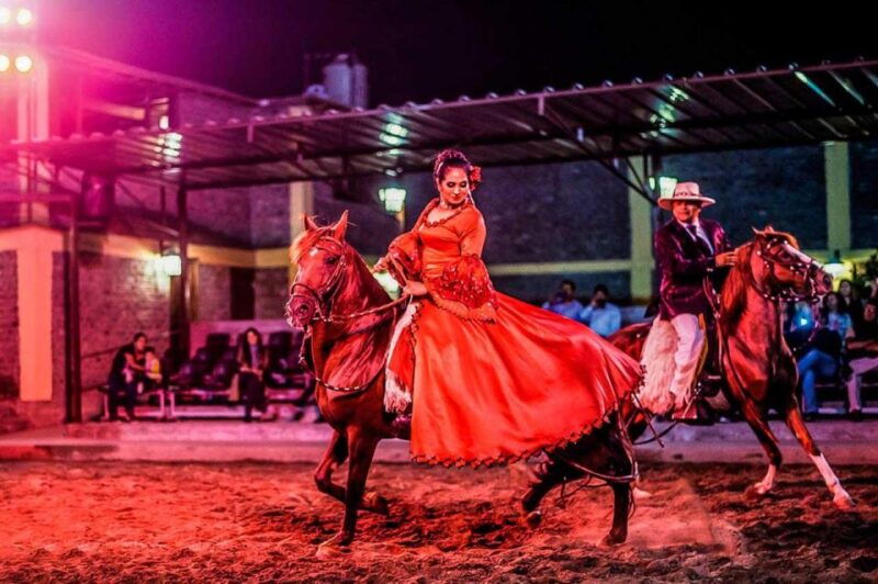 from-lima-lunch-show-paso-horses