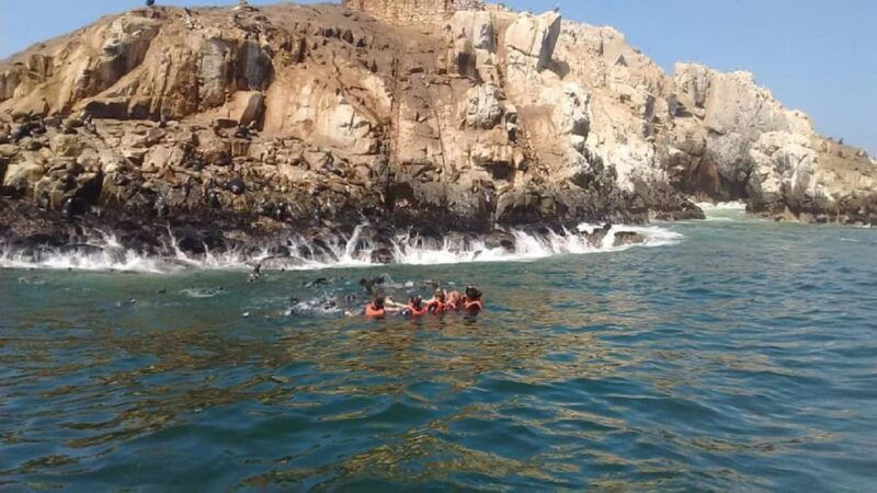 from-lima-palomino-islands-speedboat-tour-and-sea-lion-swim