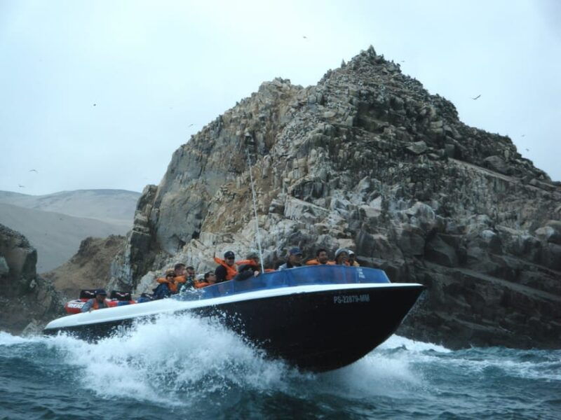 from-lima-palomino-islands-speedboat-tour-and-sea-lion-swim
