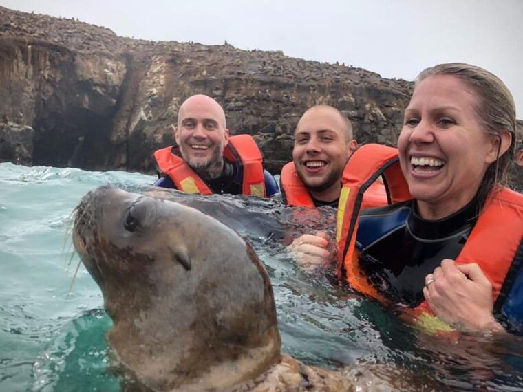from-lima-palomino-islands-speedboat-tour-and-sea-lion-swim