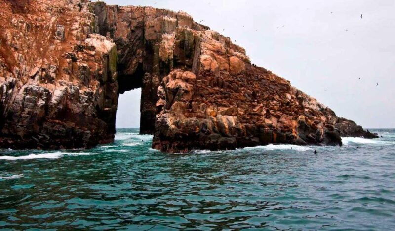 from-lima-palomino-islands